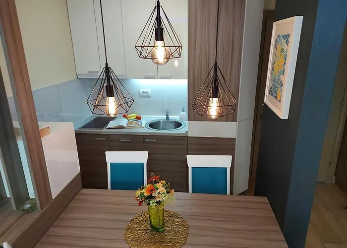 Montis 公寓 兹拉蒂博尔